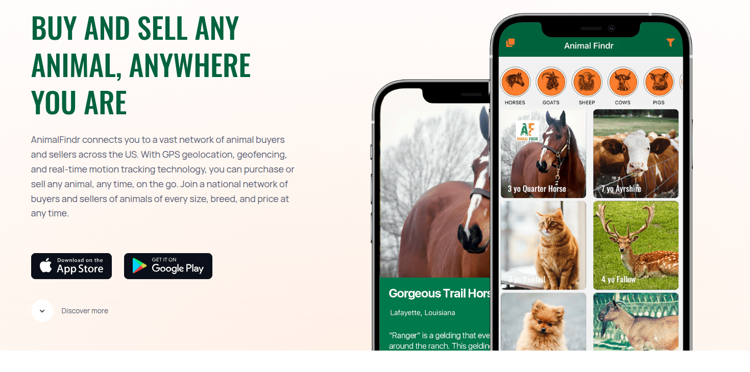 Animal Findr mobile app — built by Accolades IT
